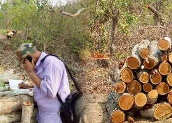 ಅರಣ್ಯ ಉತ್ಪನ್ನ ಸಾಗಾಣಿಕೆಯಲ್ಲಿ ಭ್ರಷ್ಟಾಚಾರ; 7.50 ಕೋಟಿ ಮುಂಗಡ ಹಣಕ್ಕೆ ಲೆಕ್ಕವೇ ಇಲ್ಲ