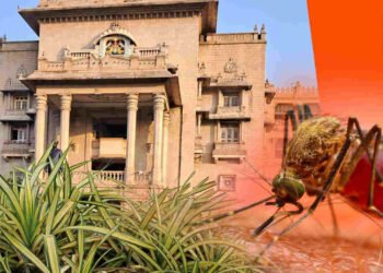 ವಿಧಾನಸೌಧ, ವಿಕಾಸ ಸೌಧದಲ್ಲಿ ಹೆಚ್ಚಿದ ಡೆಂಗಿ ಸೊಳ್ಳೆ ಸಂತಾನೋತ್ಪತ್ತಿ; 28 ಸಿಬ್ಬಂದಿಯಿಂದ ಸಮೀಕ್ಷೆ