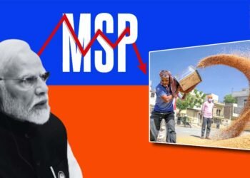 ಎಂಎಸ್‌ಪಿ ನೀಡಿದರೂ ರೈತರ ಆದಾಯ ಮಾತ್ರ ದುಪ್ಟಟ್ಟು ಆಗಲೇ ಇಲ್ಲ; ಸಂಶೋಧನಾ ವರದಿ