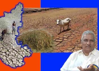 ಚಿತ್ರದುರ್ಗ, ಧಾರವಾಡದಲ್ಲಿ ತೀವ್ರಗೊಂಡ ಮೇವಿನ ಕೊರತೆ; ರಾಜ್ಯದಲ್ಲಿ 20  ವಾರಗಳಿಗಷ್ಟೇ ಮೇವು ಲಭ್ಯ