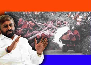 ಮರಗಳ ಅಕ್ರಮ ಕಡಿತಲೆ, ಹದ್ದಿನ ಕಣ್ಣಿನ ನಡುವೆಯೂ ಹೊರರಾಜ್ಯಗಳಿಗೆ ಸಾಗಣೆ; ಕೋಟ್ಯಂತರ ರು ನಷ್ಟ